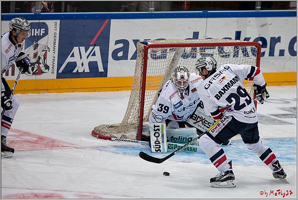 Koelner Haie - Eisbaeren Berlin, 13.11.2016